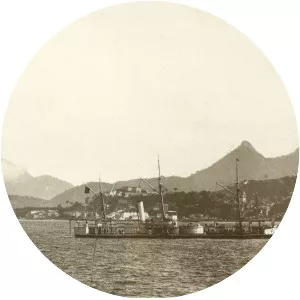 Brazilian monitor Bahia - 