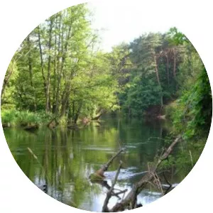 Brda - River in Poland