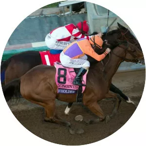 Breeders' Cup Distaff - 