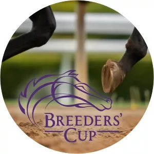 Breeders' Cup Horse Racing