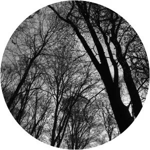 Breite Oak Tree Reserve - 