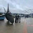 Bremerton Boardwalk - 