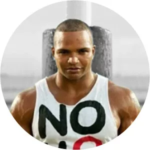 Brendon Ayanbadejo - American former american football player