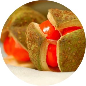 Bretschneideraceae - 