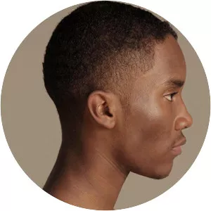 Brett Austin Johnson - Film actor