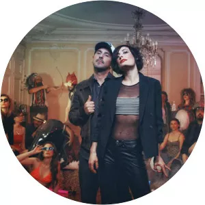 Brice Montessuit Musician