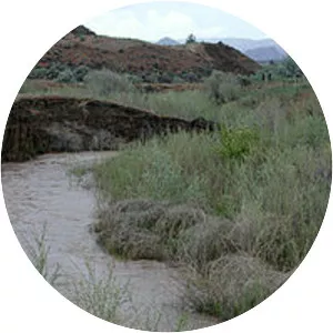 Bridge Creek - Tributary in Oregon