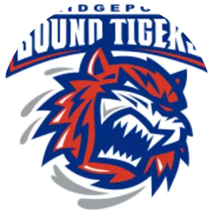 Bridgeport Sound Tigers - Ice hockey team