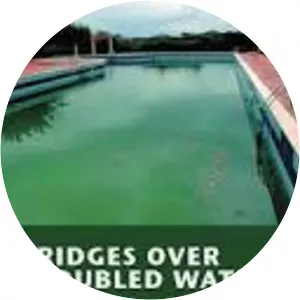 Bridges Over Troubled Waters