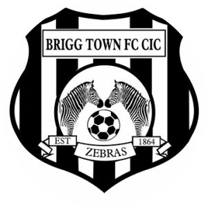 Brigg Town