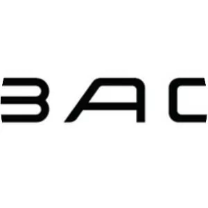 Briggs Automotive Company