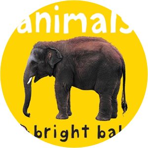 Bright Baby Animals