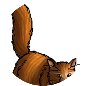 Brightflower photograph