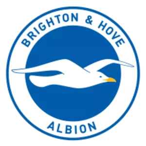 Brighton & Hove Albion Football Club