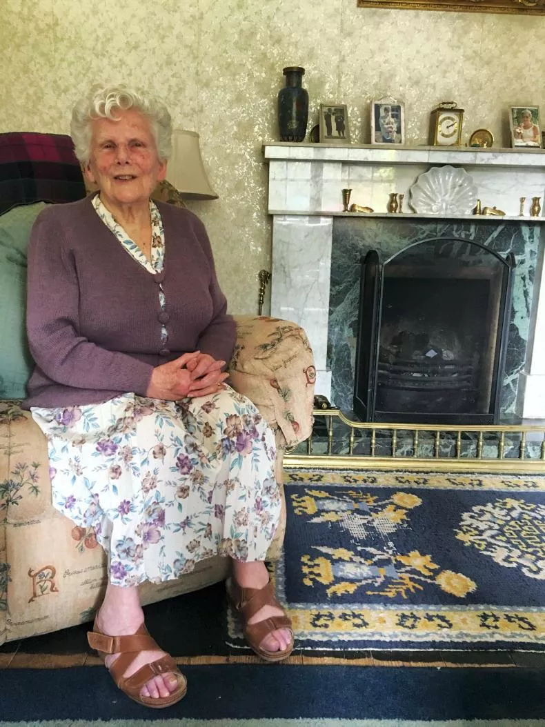 Brigid Hogan-O'Higgins - Former Teachta Dála of Ireland