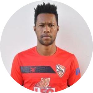 Brinner Henrique Santos Souza