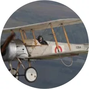 Bristol Scout