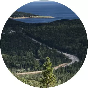 Broad Cove Mountain Trail - 