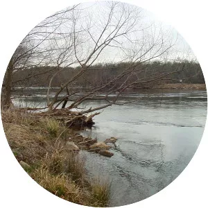 Broad River - Tributary in South Carolina