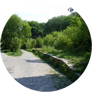 Broadley railway station - 