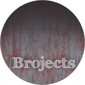 BrojectsSince 2014 - 2014 ‧ Home improvement ‧ 3 seasons