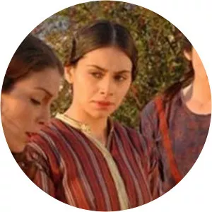 Broken WingsSince 2006