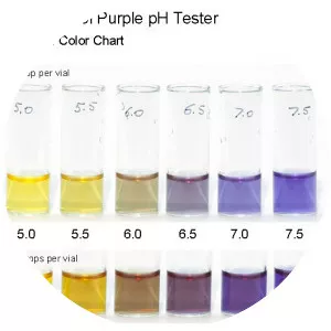 Bromocresol purple - 