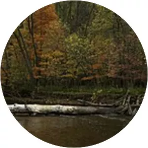 Bronte Creek - Waterway in Canada