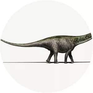 Brontosaurus