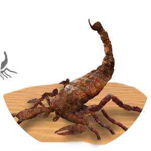 Brontoscorpio anglicus