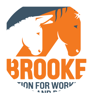 Brooke Hospital for Animals