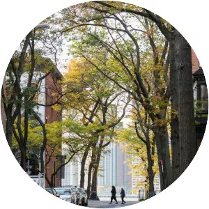 Brooklyn Heights - Residential neighborhood in New York City, New York