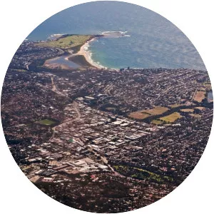Brookvale - Australian Suburb