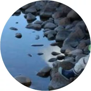 Bror Samuelson - Swedish conductor