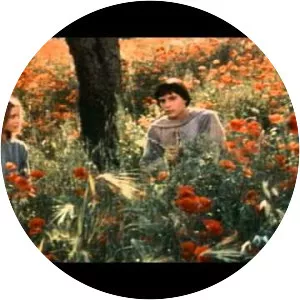 Brother Sun, Sister Moon