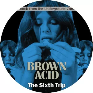 Brown Acid - The Sixth Trip