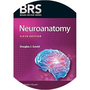 BRS Neuroanatomy