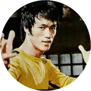 Bruce Lee: A Warrior's Journey