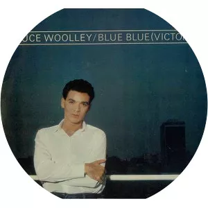 Bruce Woolley - Musician