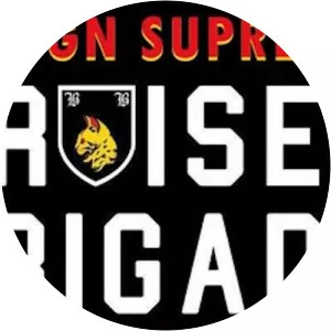 Bruiser Brigade - Musical group