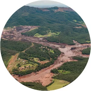 Brumadinho dam disaster - 