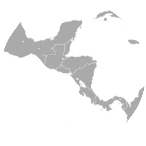 Brumback's night monkey