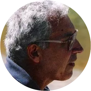 Bruno Contini - Author