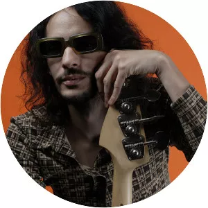 Bruno Hovart - Musician