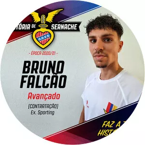 Bruno Miguel Falcão Santos