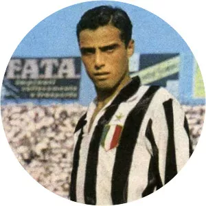 Bruno Nicolè