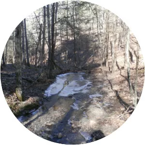 Brush Mountain Wilderness