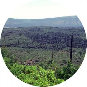 Brushy Butte - Shield volcano in California
