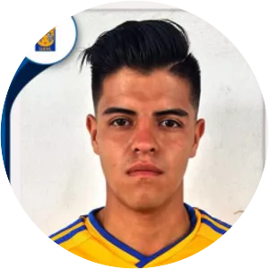 Bryan Alexis Reyes Domínguez