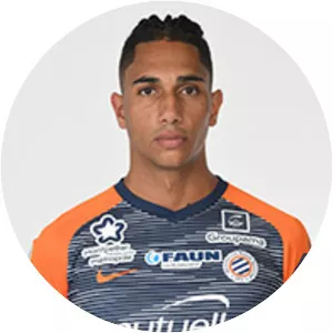 Bryan Passi - French football player